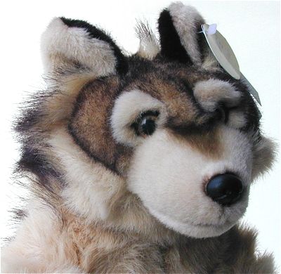 storage for stuffed toys